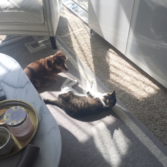 Meet your Posher, Dagmara - Picture 3 of 5